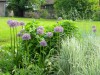 184?width=100&height=80&name=allium-x-be