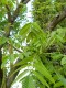 4061?width=100&height=80&name=juglans-ai