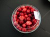 4274?width=100&height=80&name=vaccinium-