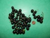 4385?width=100&height=80&name=ribes-nigr